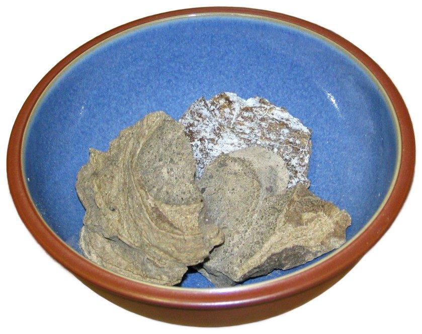 Ambergris