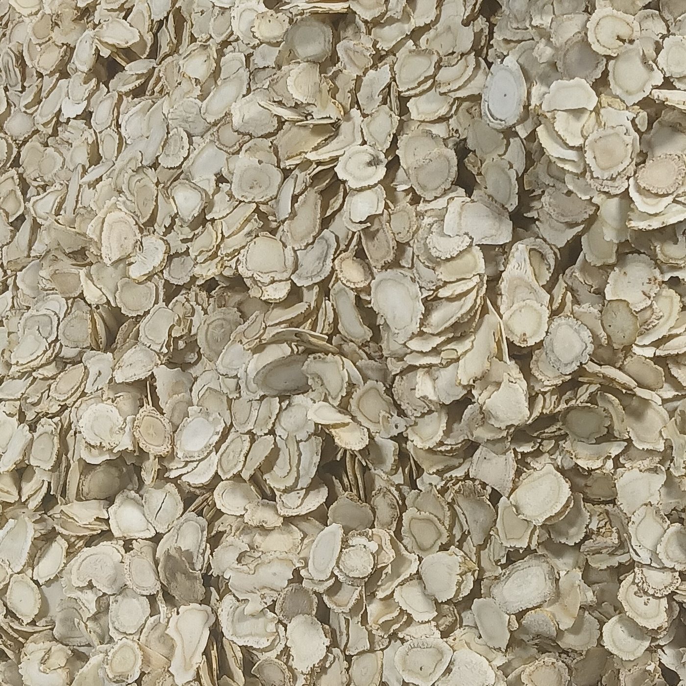 Dried slices of American ginseng root
