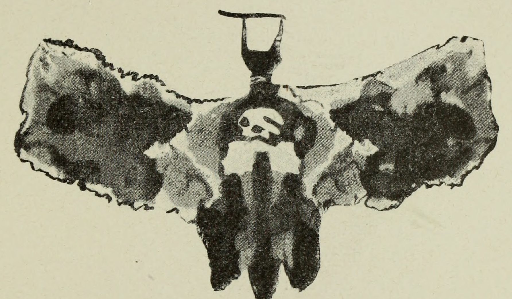 A winged blot with a death's-head at its centre and a dark body hanging below