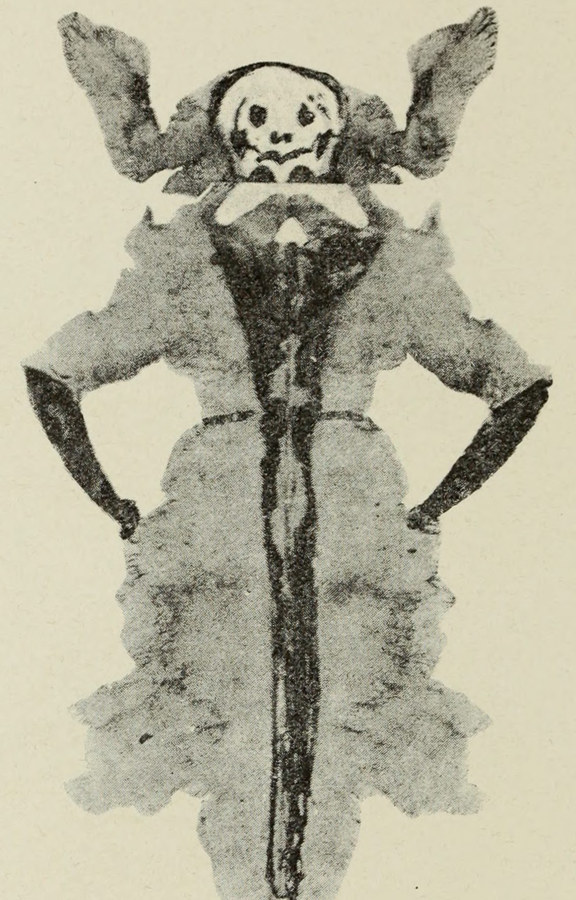 A figure with a grinning death's-head and raised hands, arms akimbo, a long dark stripe down its pale body