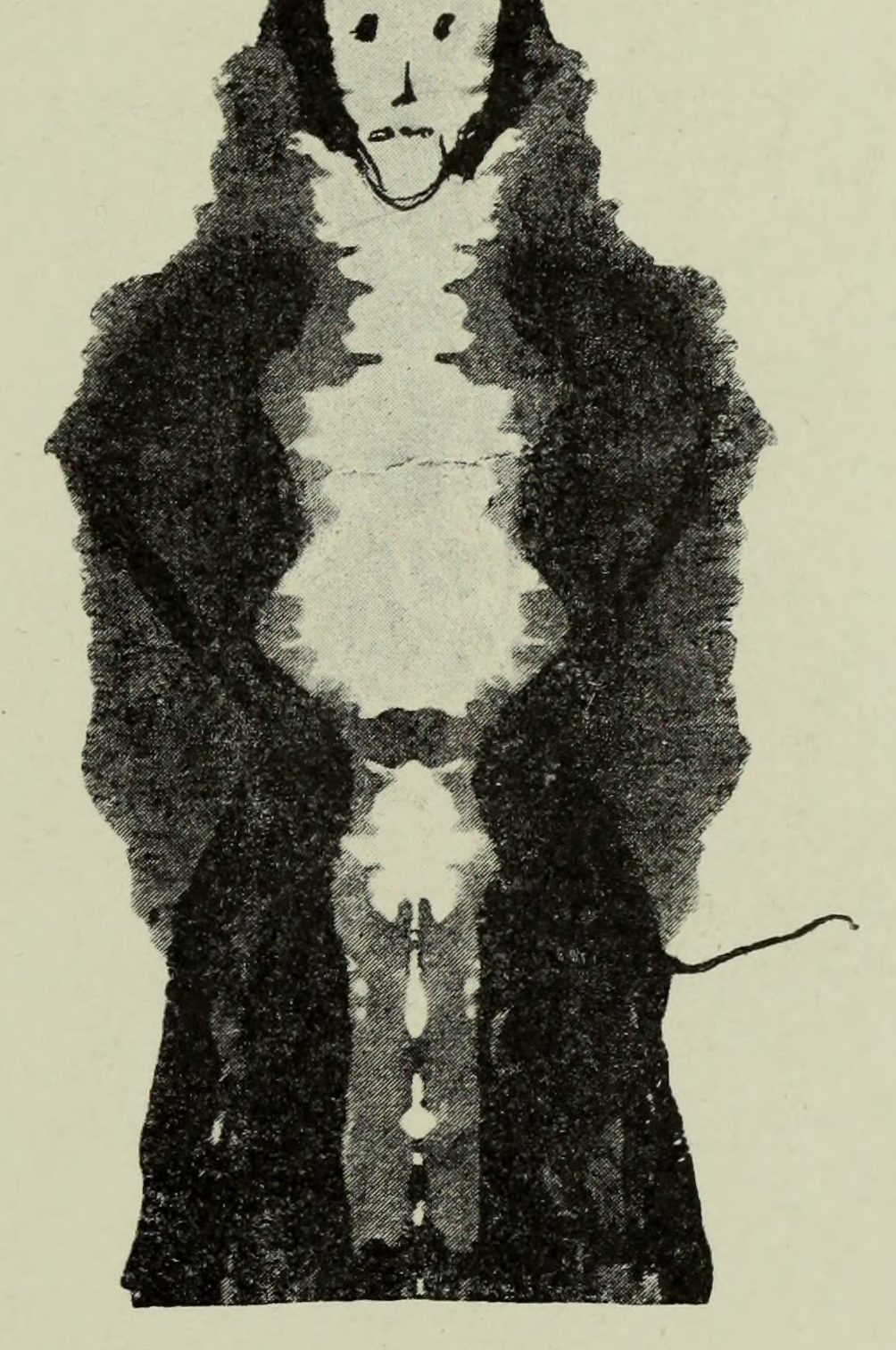 A long pale face with a drawn mouth, above a body in a dark coat with a fur collar; a thin tail curls out at the right